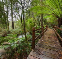 The Source Otways - Holiday Sunshine Coast