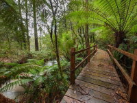 The Source Otways