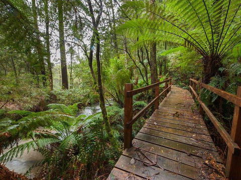 The Source, Otways - Sunshine Coast Tourism 0