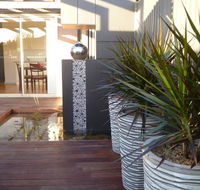 The Wet Lizard - Holiday Sunshine Coast