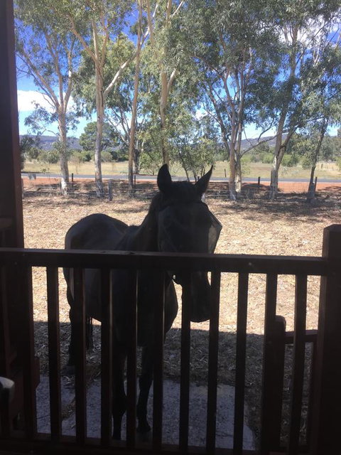 Thie My Chree Retreat - Sunshine Coast Tourism 3