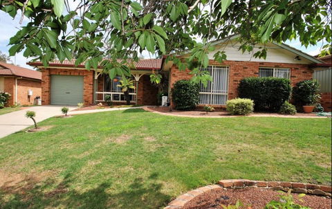 Tidy Home In A Leafy Suburb, Great Location - Holiday Sunshine Coast 0