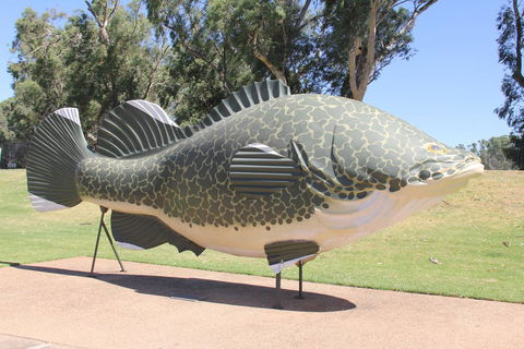 Tocumwal Hotel Motel (The Palms) - Holiday Sunshine Coast 1