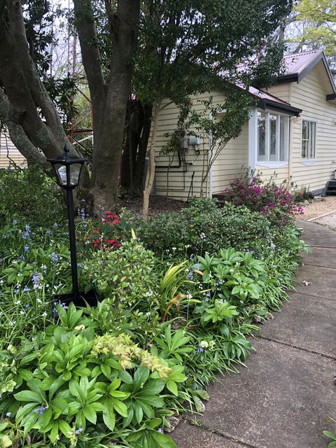 Toolebewang Farm Cottage - Holiday Sunshine Coast 1
