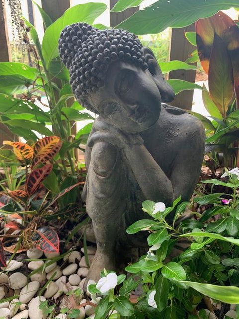 Tranquil Spa Retreat - Sunshine Coast Tourism 3