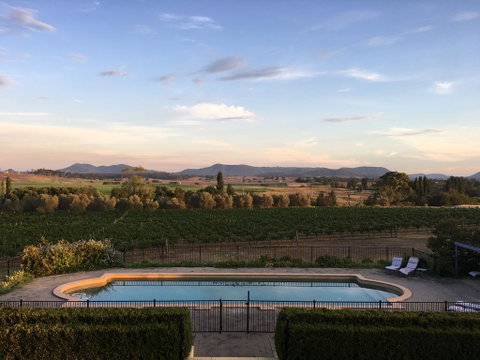 Tranquil Vale Vineyard - Holiday Sunshine Coast 0