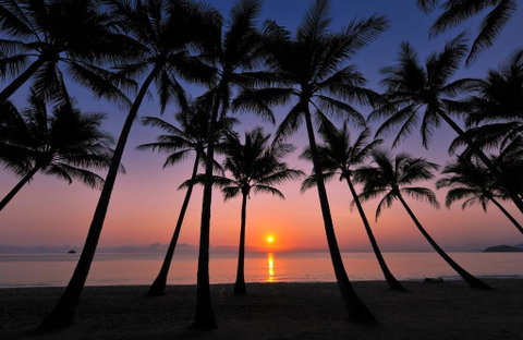 Tranquility Relax Palm Cove - Sunshine Coast Tourism 1