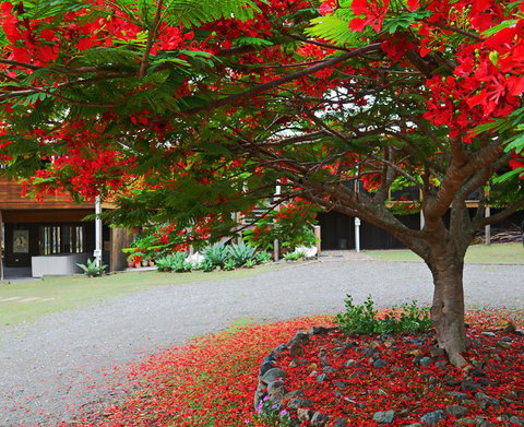 TRANQUILO BEACH HOUSE - Holiday Sunshine Coast 2