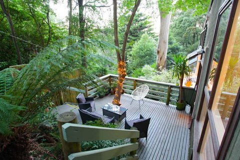 Tree Top Stay - Sunshine Coast Tourism 3