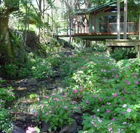 Treetops Montville - Holiday Sunshine Coast