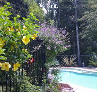 Tropical Coast Retreat - Pet Friendly - Sunshine Coast Tourism