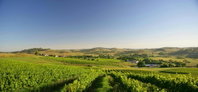 Turners Vineyard Motel