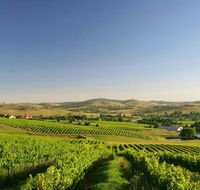 Turners Vineyard Motel - Holiday Sunshine Coast