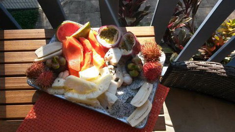 Turtle Reef Bed & Breakfast Cairns - Sunshine Coast Tourism 2