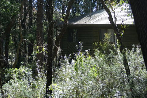 Twin Falls Bush Cottages - Holiday Sunshine Coast 0