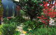 Twin Palms Castlemaine - thumb 1