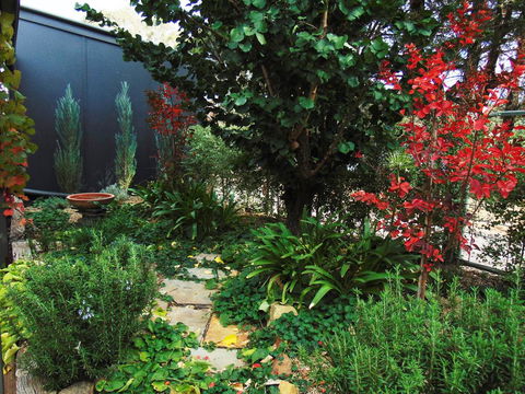 Twin Palms Castlemaine - Sunshine Coast Tourism 1