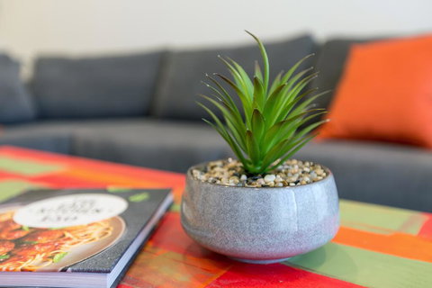 Urban Jungle! Executive Apartment In Heart Of CBD - Sunshine Coast Tourism 1