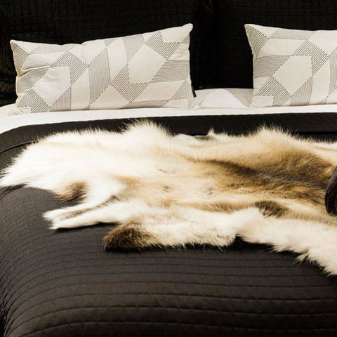 Val D'Argent Equestrian Centre - Holiday Sunshine Coast 1