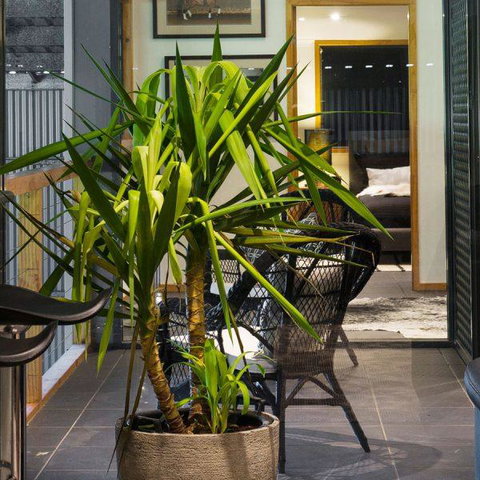 Val D'Argent Equestrian Centre - Holiday Sunshine Coast 2