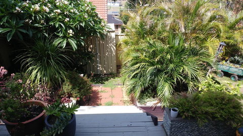 Ven & Marks Place - Holiday Sunshine Coast 2