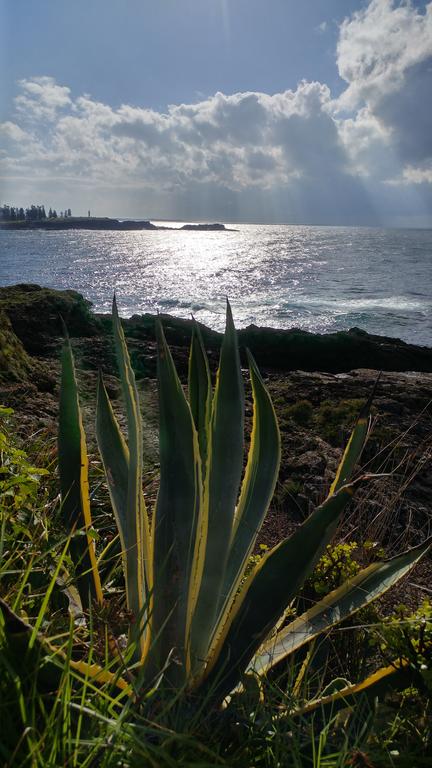 Ven & Marks Place - Holiday Sunshine Coast 0