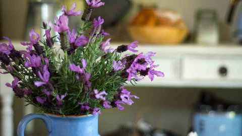 Vicarage View Cottage - Holiday Sunshine Coast 2