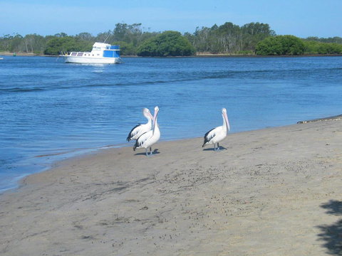 Views To Yaccaba Headland - Holiday Sunshine Coast 2