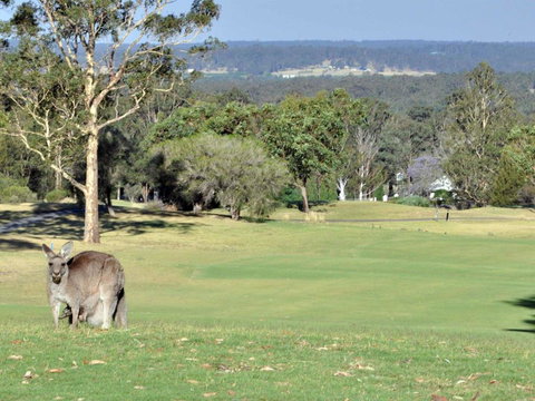 Villa 3br Beaujolais Luxe + Style Resort Condo Located Within Cypress Lakes Resort (nothing Is More Central) - Sunshine Coast Tourism 1