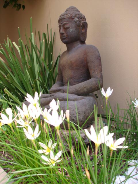 Villa Baci - Holiday Sunshine Coast 3