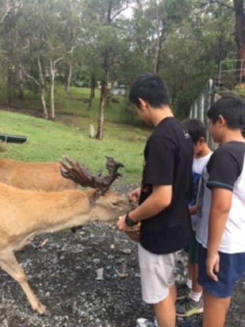 Villa Cervi Property - Holiday Sunshine Coast 3