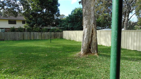 Villa Davoll At Hat Head (Pet Friendly) - Holiday Sunshine Coast 1