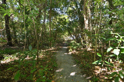 Villa Frangipani - Holiday Sunshine Coast 2