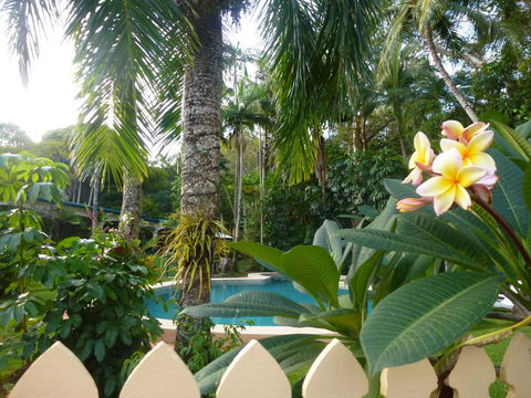 Villa Marine Holiday Apartments Cairns - Sunshine Coast Tourism 1