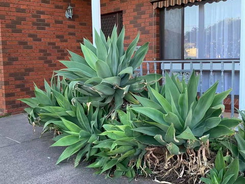 Vintage House In Bentleigh East - Holiday Sunshine Coast 1
