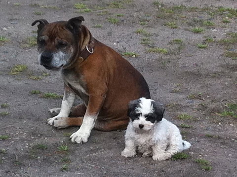 Walcha Royal Cafe & Accommodation - Holiday Sunshine Coast 3