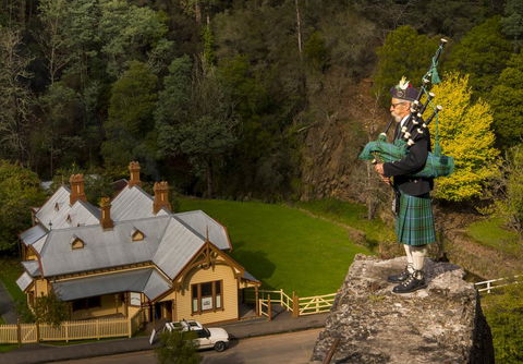 Walhalla Wild Cherry - Sunshine Coast Tourism 2