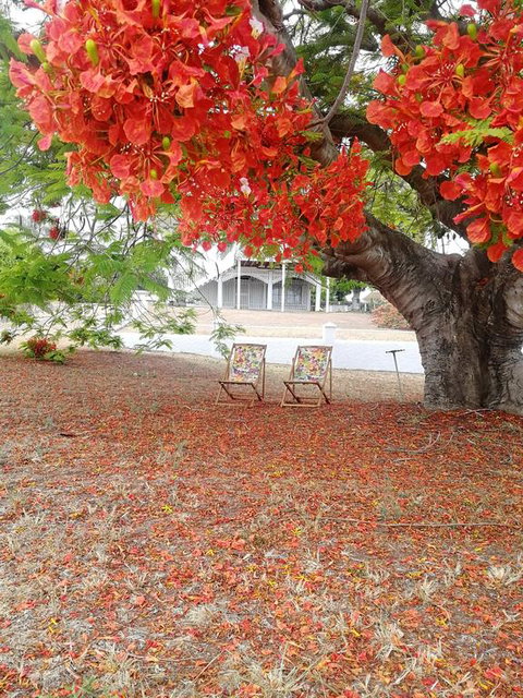 Walk To Beach Queenslander HOME In CBD Hervey Bay - Sunshine Coast Tourism 3