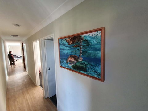 Wallis View 13 - Sunshine Coast Tourism 2