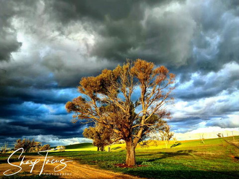 Wantana Cottage Farmstay - Sunshine Coast Tourism 2