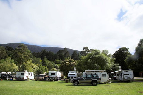 Warburton Holiday Park - Sunshine Coast Tourism 0