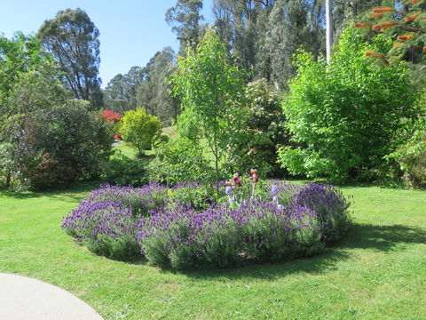 Amelina Cottages - Holiday Sunshine Coast 32