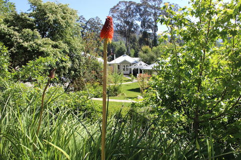 Amelina Cottages - Holiday Sunshine Coast 23