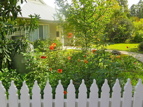 Amelina Cottages - Holiday Sunshine Coast 34