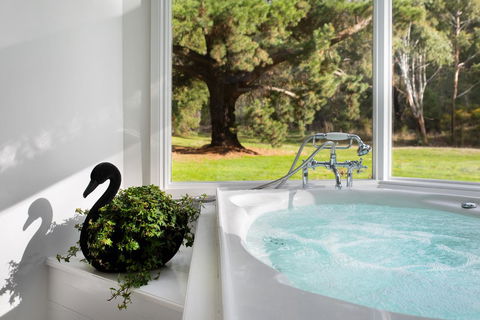 The Orchard - Sunshine Coast Tourism 9