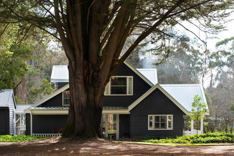 The Orchard - Sunshine Coast Tourism 0