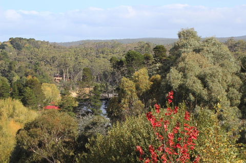 The Orchard - Sunshine Coast Tourism 28