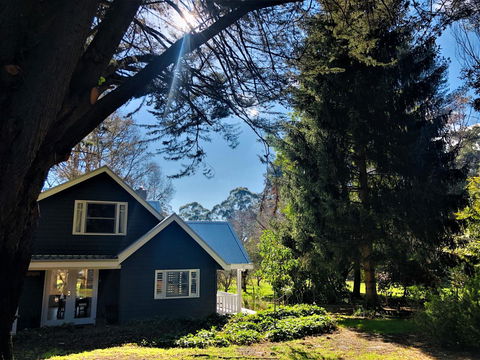 The Orchard - Sunshine Coast Tourism 1