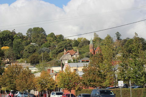 The Orchard - Sunshine Coast Tourism 31