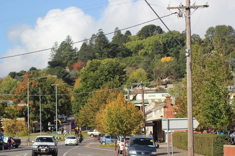 The Orchard - Sunshine Coast Tourism 35